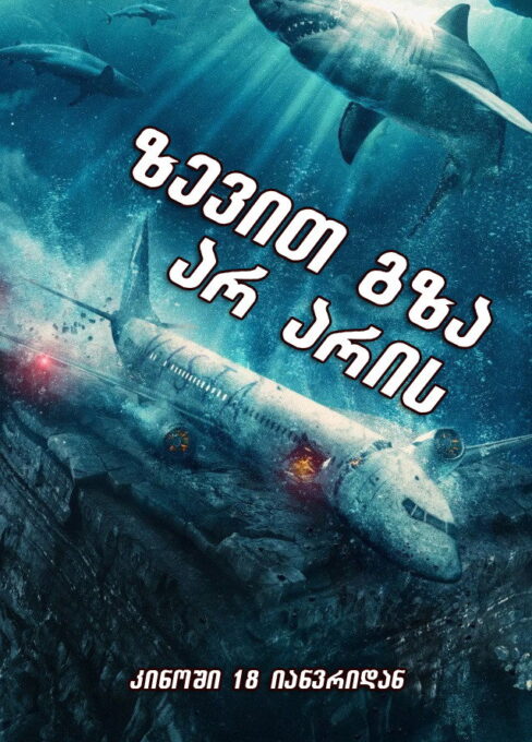 ზევით გზა არ არის