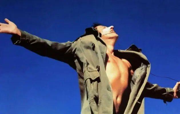 გაბრწყინება / Shine ( ქართულად )