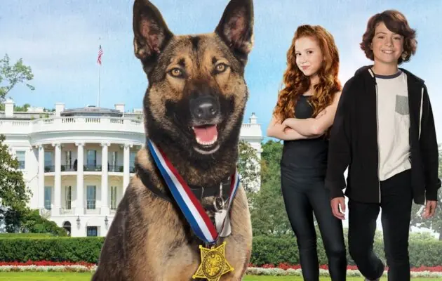 მაქსი 2 : თეთრი სახლის გმირი / Max 2: White House Hero ( ქართულად )