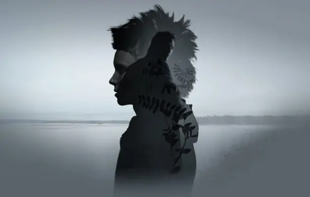 გოგონა დრაკონის ტატუთი (2011) The Girl with the Dragon Tattoo / ქართულად, ინგლისურად, რუსულად