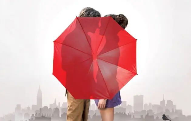 წვიმიანი დღე ნიუ იორკში / A Rainy Day in New York ( ქართულად )